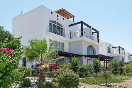Joya Cyprus Mermaid Penthouse Apartment Agios Amvrosios  Eksteriør billede